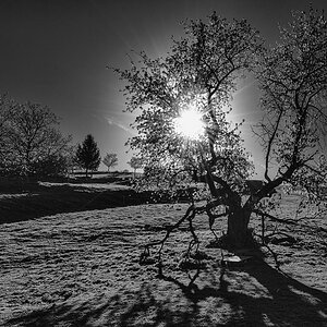 Nikon D800, Nikkor 14-12