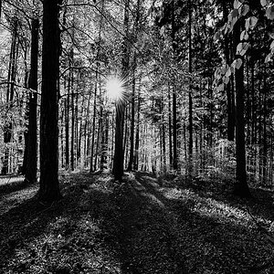 Nikon D800, Nikkor 14-12