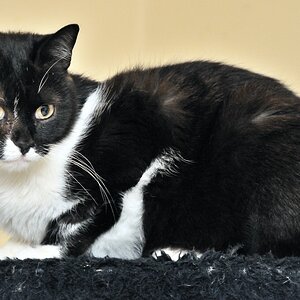 2012 05 06 542  D300sA Herr Schmitt