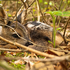 Bild LR3 .19. Mai 2012. .DSC 0037 2