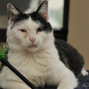 2012 05 06 541  D300sA Georgie