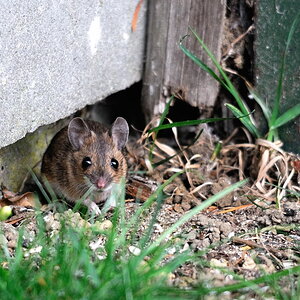 2012 04 11 12 42 39 D30 5290 copy