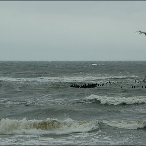 Insel Usedom 2012 03