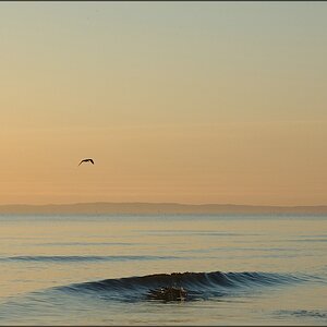 Insel Usedom 2012 12