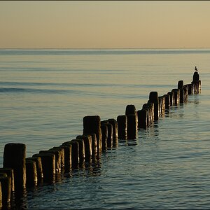 Insel Usedom 2012 13