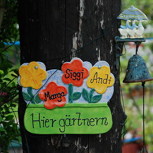 DSC 2105 Bildgröße ändern