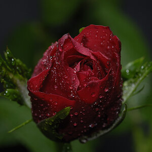 20080304  STA7543