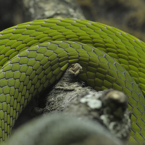 DSC4954