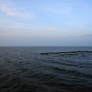 blau (5)