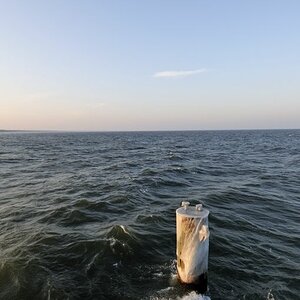 blau (1)