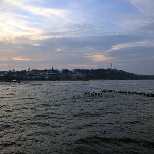 blau (4)