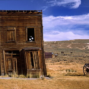 Bodie