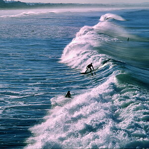 Surfer