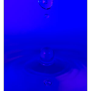 blubber2