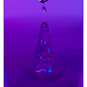 blubber3