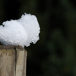 tauwetter1