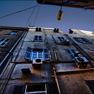 blue forum
