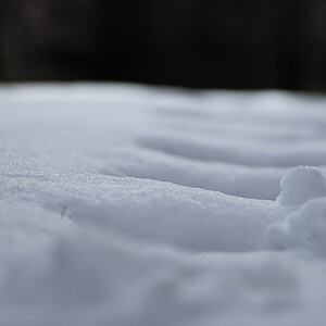 tauwetter2