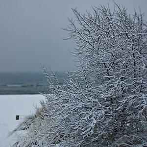 DSC 1027