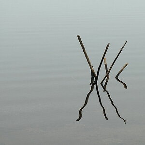 Nebel 0008