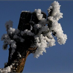 frost00002