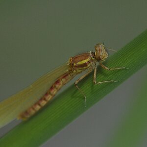 DSC 0510 web