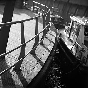 DSC 1291