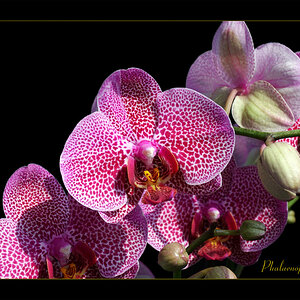 2007 0708 Bild 0047 13x18