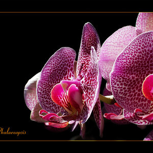 2007 0715 Bild 0021 20x30