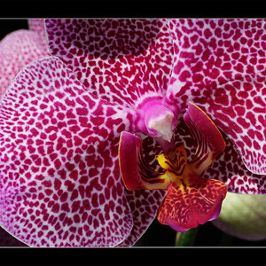 2007 0708 Bild 0095 001 13x18
