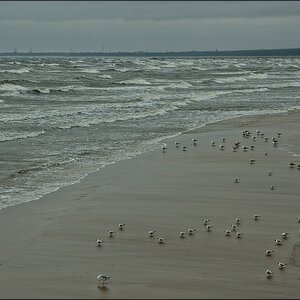 Insel Usedom 2012 16