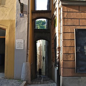 DSC 2473