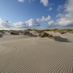 comp DSC 1267