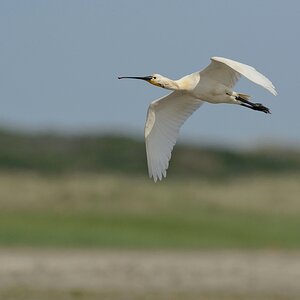 comp DSC 3833