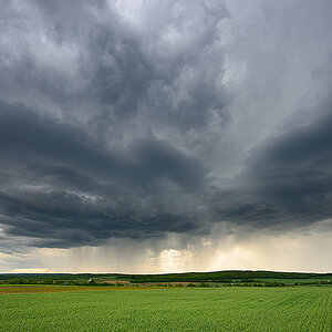 DSC 3679 nf