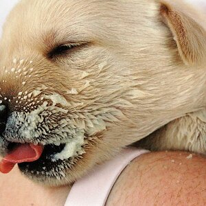 DSC 2562