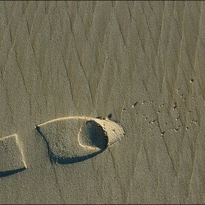 Spur im Sand