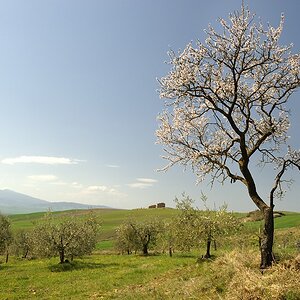 2012032512041538