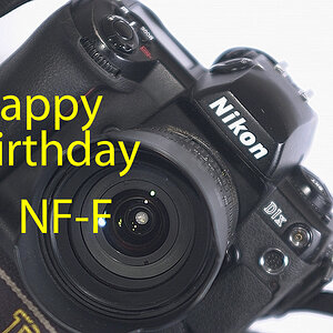 xDSC 0836NF F