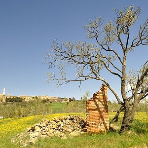 2012032513194733