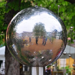 DSC 5383
