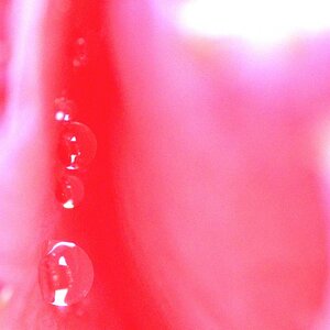 waterdrops