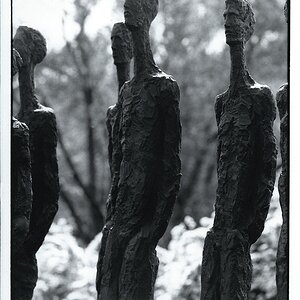 Milan Spacek-Schweigende Mehrheit