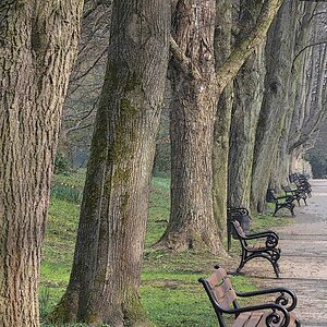 Romberg-Park Dortmund