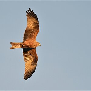 aacomp Extremadura 20120421 1600