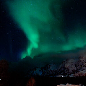 Tromso 7723