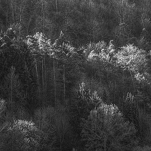 120401-HDR SW A