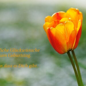 herzliche Glueckwuensche