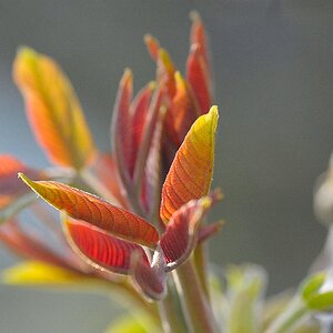 120407-21-120407 Nussbaum 057 B