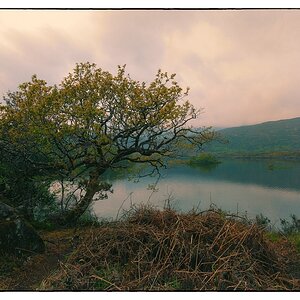 Irland DSC 2343